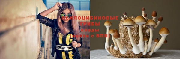 тгк Алексеевка